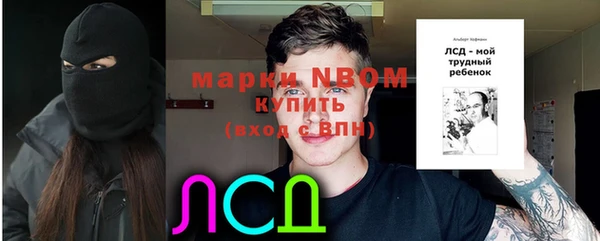 соль ск Алексин