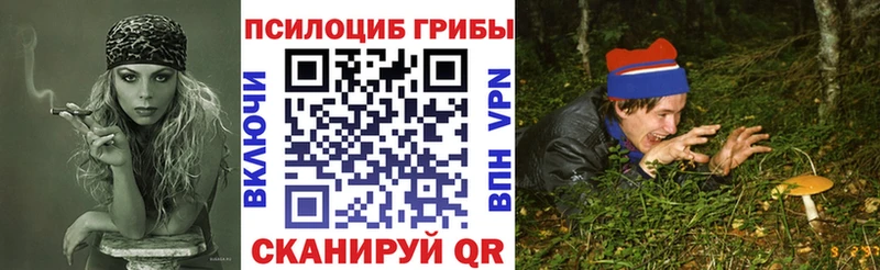 ОМГ ОМГ зеркало Кремёнки Псилоцибиновые грибы прущие грибы купить цена