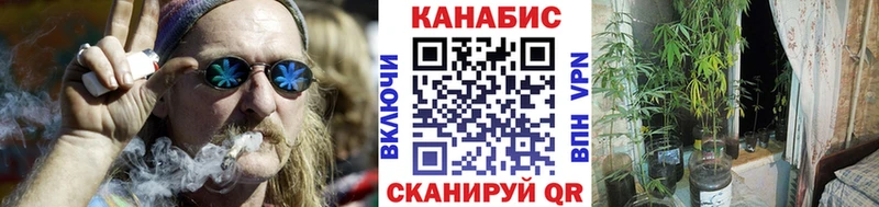 закладка  Кремёнки  Каннабис сатива 